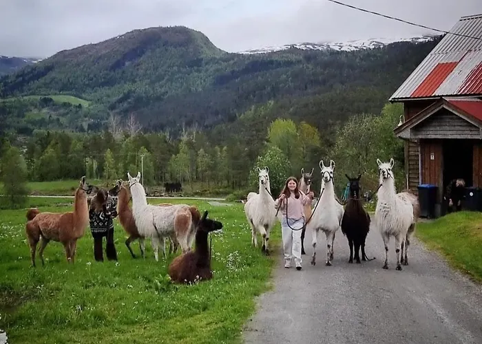 Llama 8 Beds 4 Bedrooms